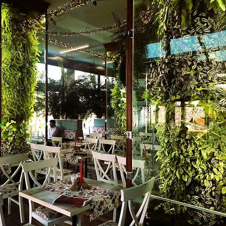 Habitat 29 Sófia